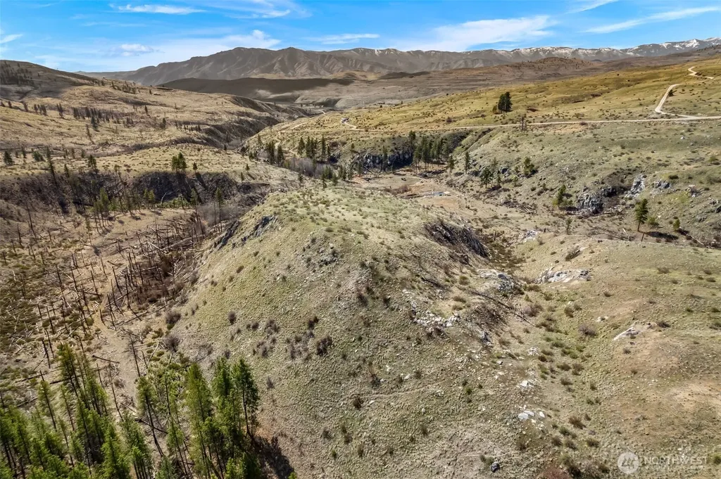 576 Indian Dan Canyon Brewster WA 98812