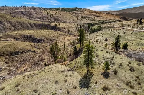 576 Indian Dan Canyon Brewster WA 98812
