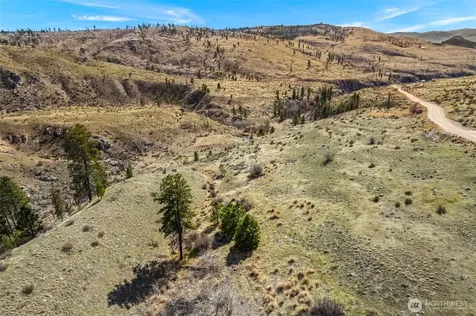 576 Indian Dan Canyon Brewster WA 98812