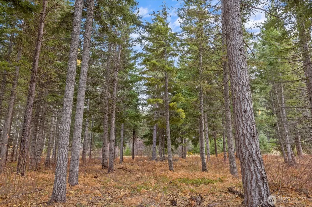230 Goat Creek Lane Cle Elum WA 98922