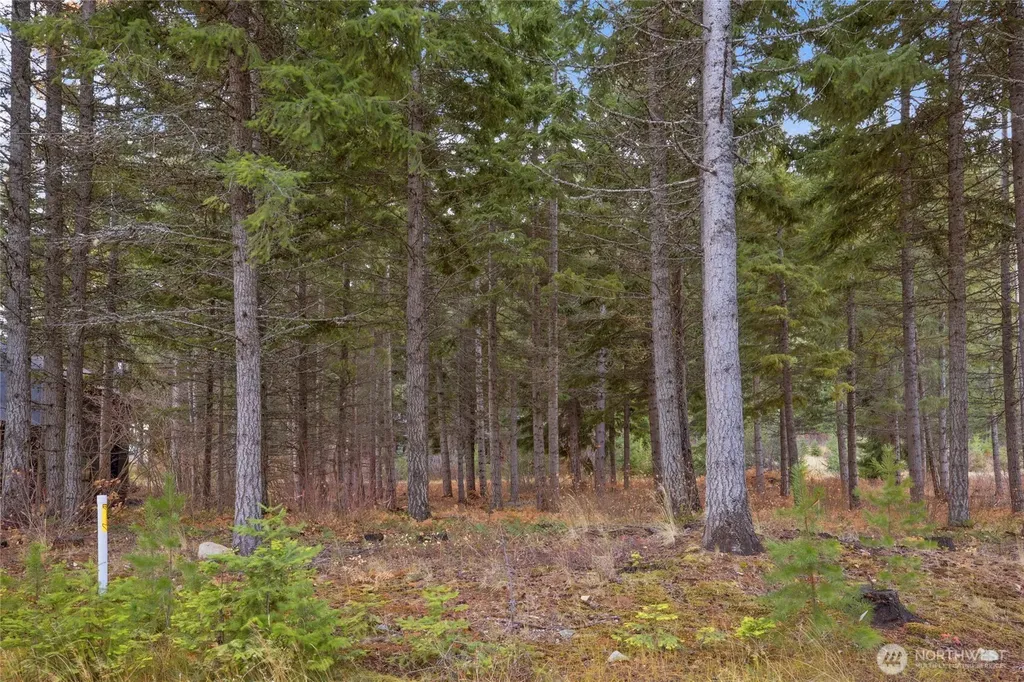 230 Goat Creek Lane Cle Elum WA 98922