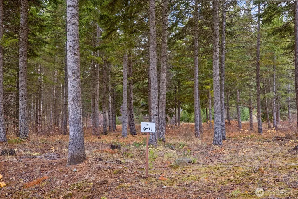 230 Goat Creek Lane Cle Elum WA 98922