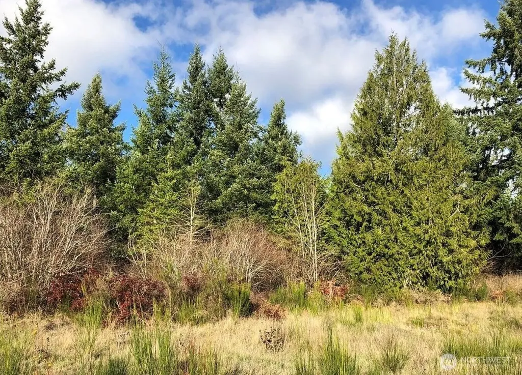 14623 Lindsay Loop SE Yelm WA 98597