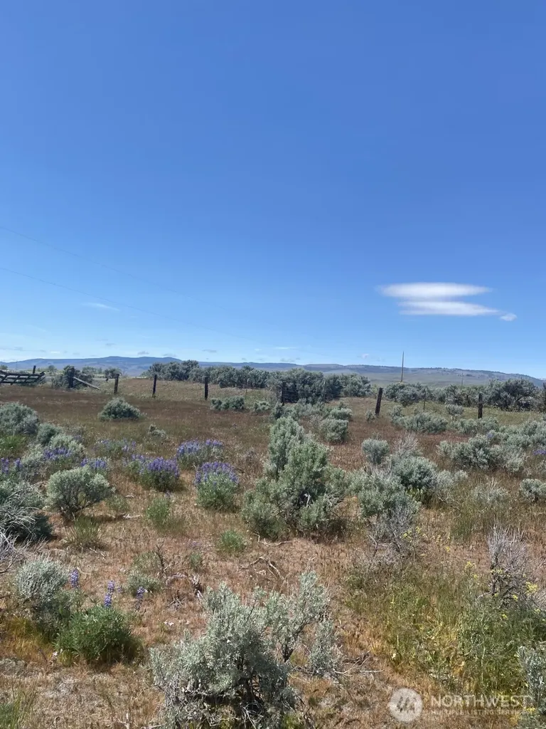 5 Lester Road Ellensburg WA 98926