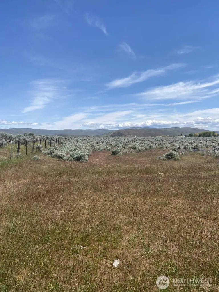 5 Lester Road Ellensburg WA 98926