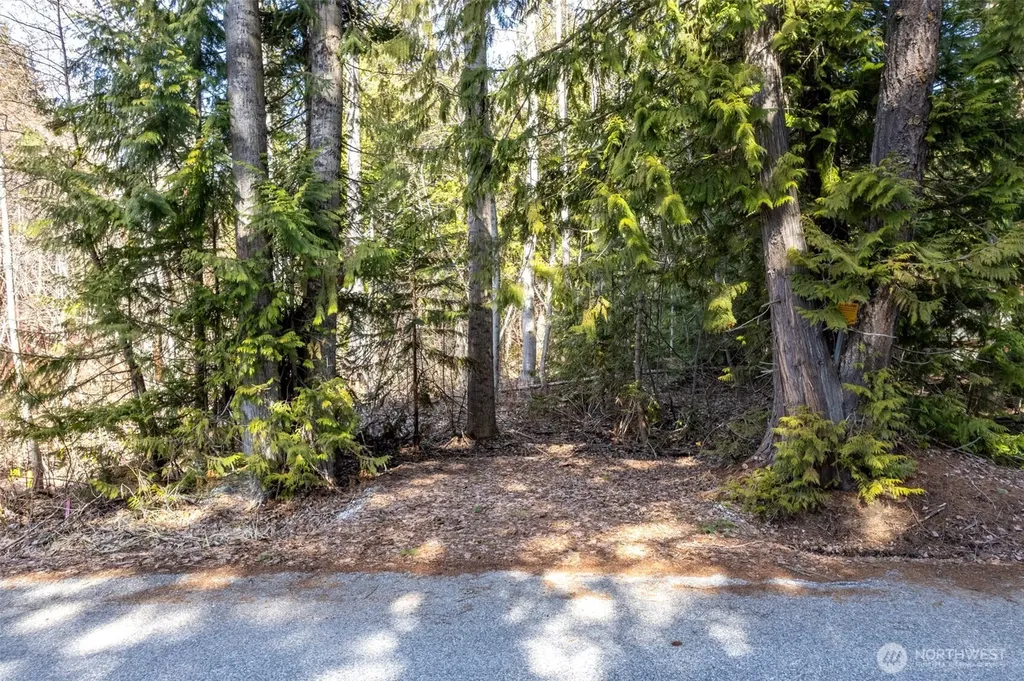 22740 Brown Road Leavenworth WA 98826