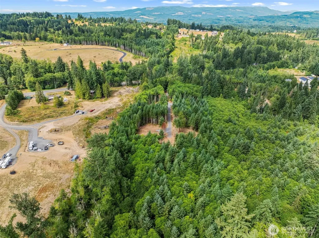 232 Durins Place Castle Rock WA 98611