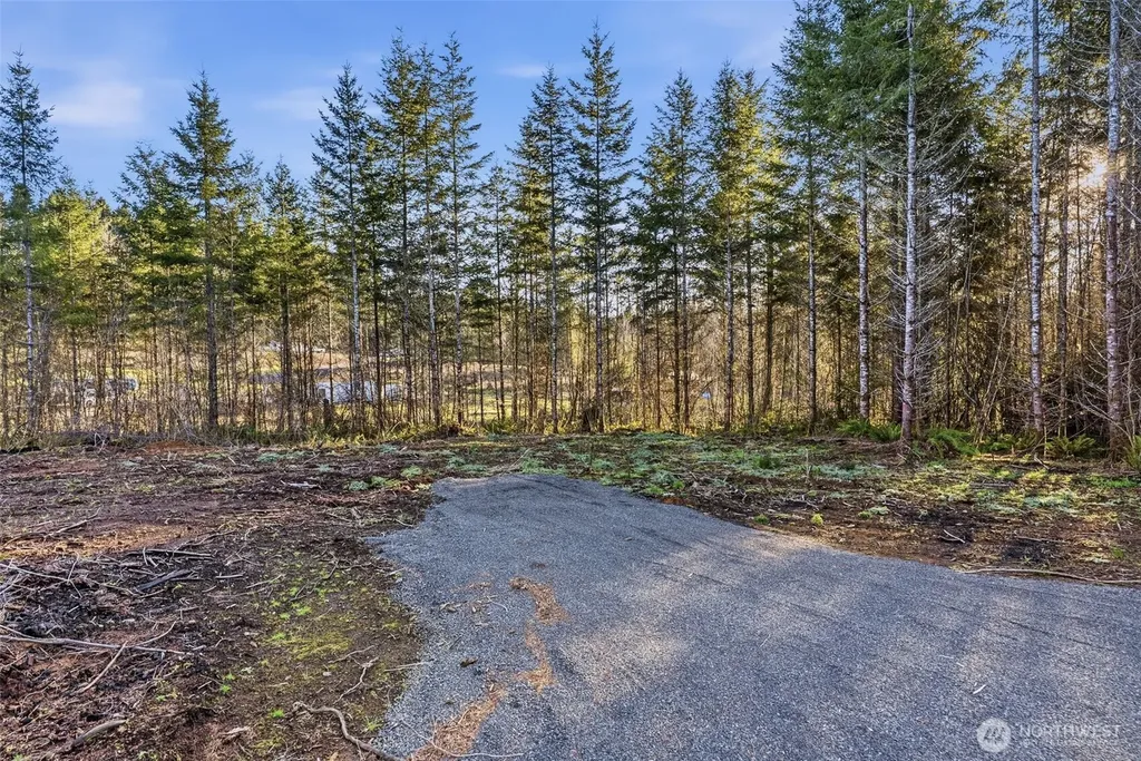 232 Durins Place Castle Rock WA 98611