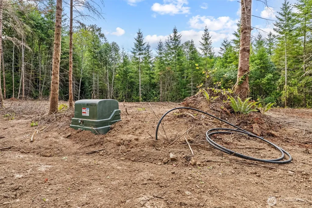 232 Durins Place Castle Rock WA 98611