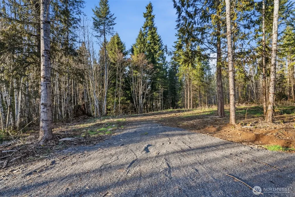 224 Durins Place Castle Rock WA 98611