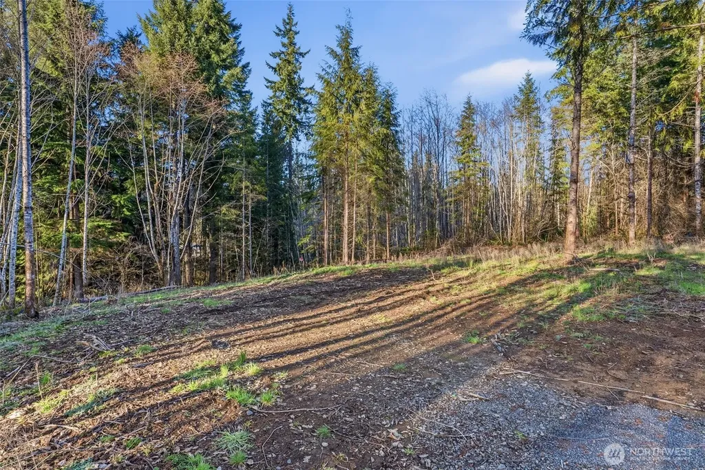 224 Durins Place Castle Rock WA 98611