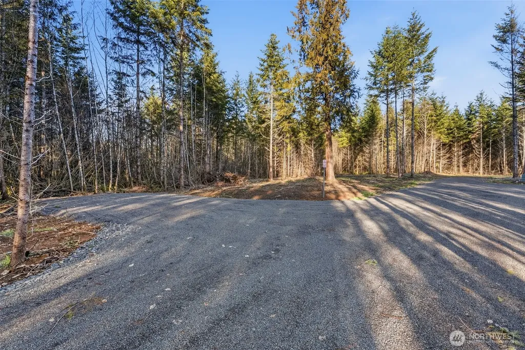 224 Durins Place Castle Rock WA 98611