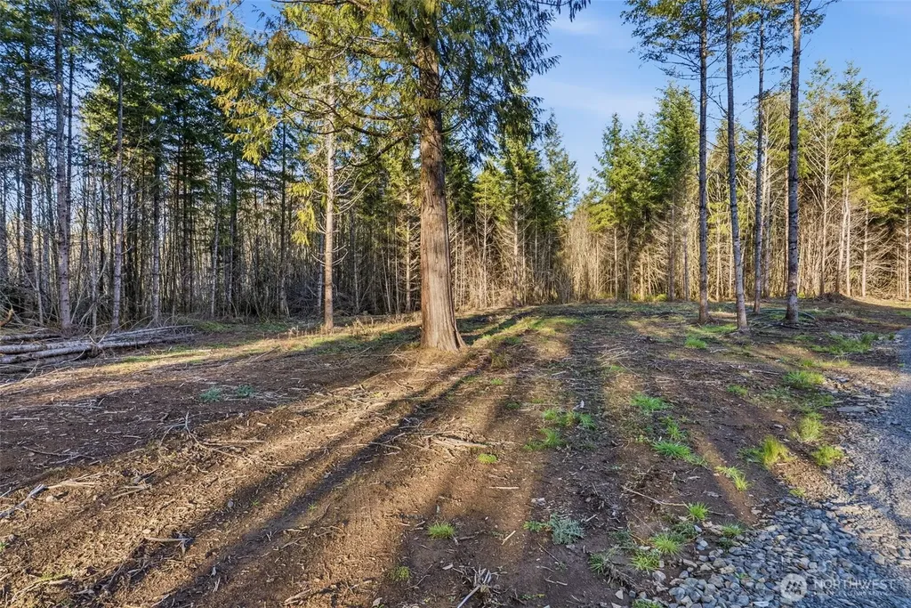 224 Durins Place Castle Rock WA 98611