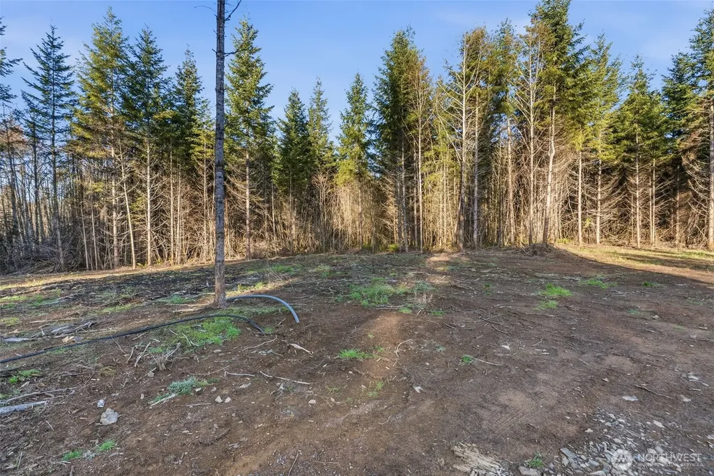 224 Durins Place Castle Rock WA 98611