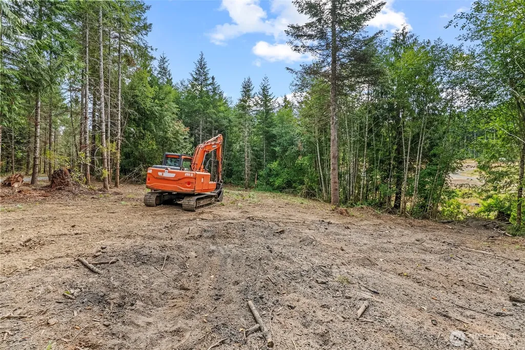 224 Durins Place Castle Rock WA 98611