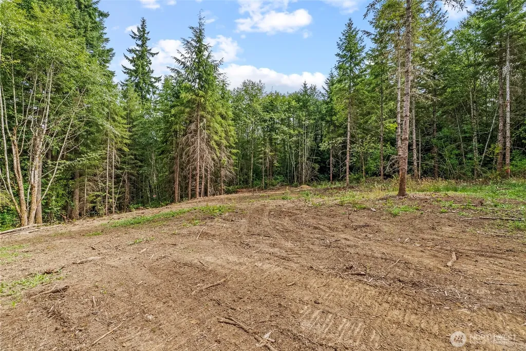 217 Durins Place Castle Rock WA 98611
