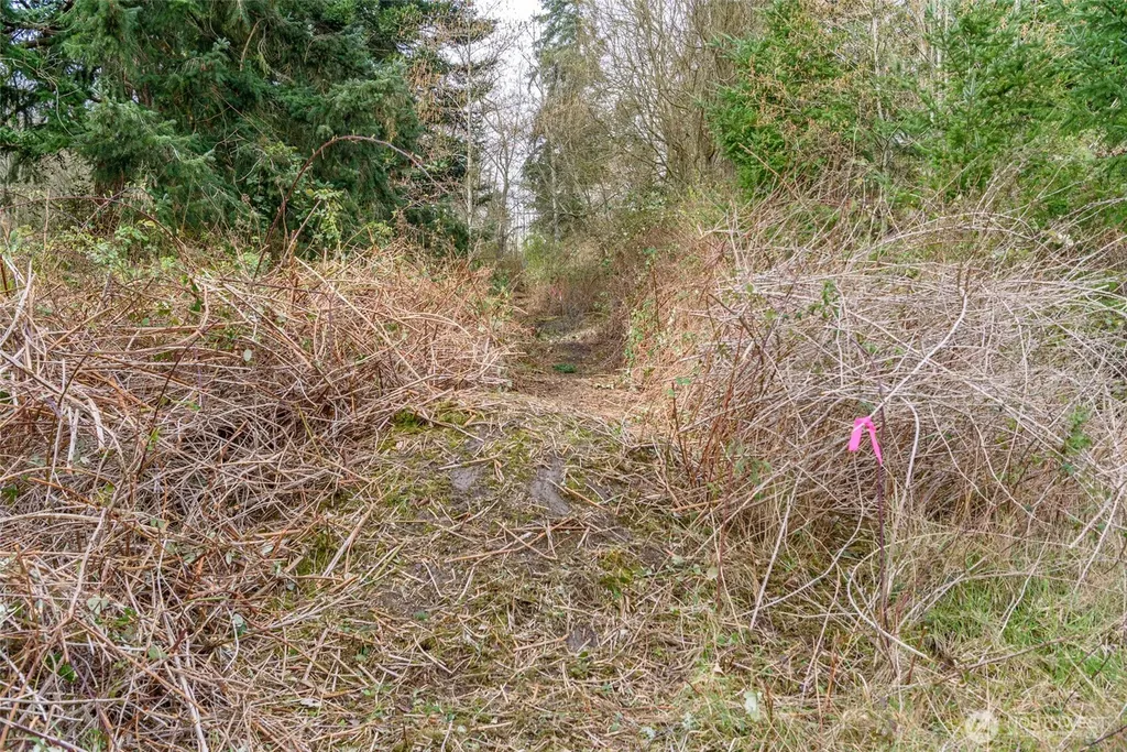 0 Polnell Road Oak Harbor WA 98277