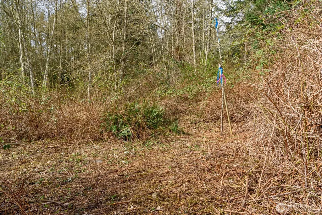 0 Polnell Road Oak Harbor WA 98277