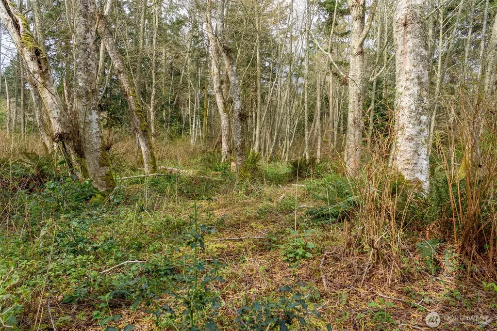0 Polnell Road Oak Harbor WA 98277