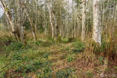 0 Polnell Road Oak Harbor WA 98277