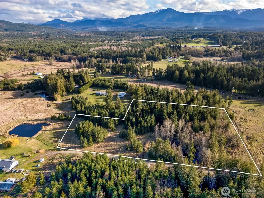 0 Lilly Road Port Angeles WA 98382