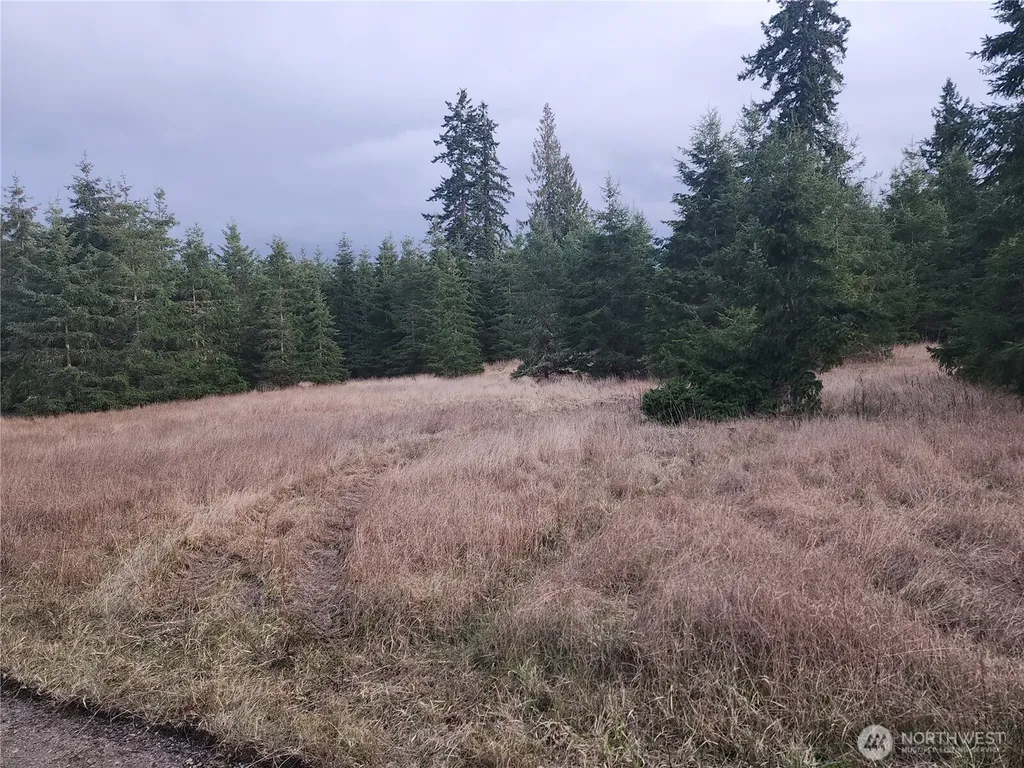 0 Lilly Road Port Angeles WA 98382