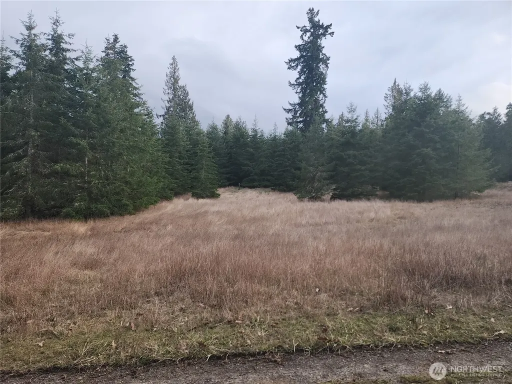 0 Lilly Road Port Angeles WA 98382