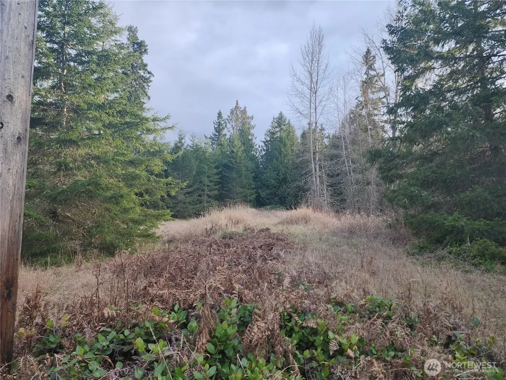 0 Lilly Road Port Angeles WA 98382