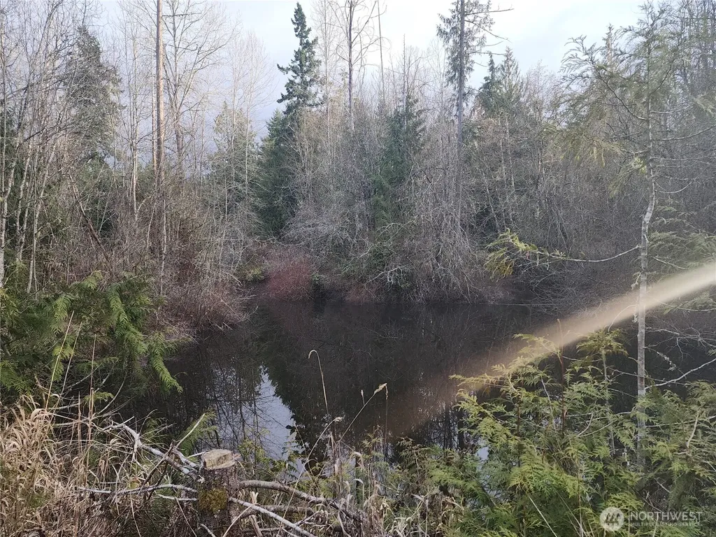 0 Lilly Road Port Angeles WA 98382