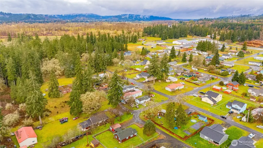 408 W Eagle Avenue Oakville WA 98568
