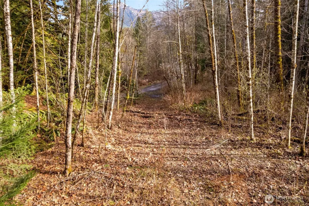 10211 Mt Baker Highway Deming WA 98244