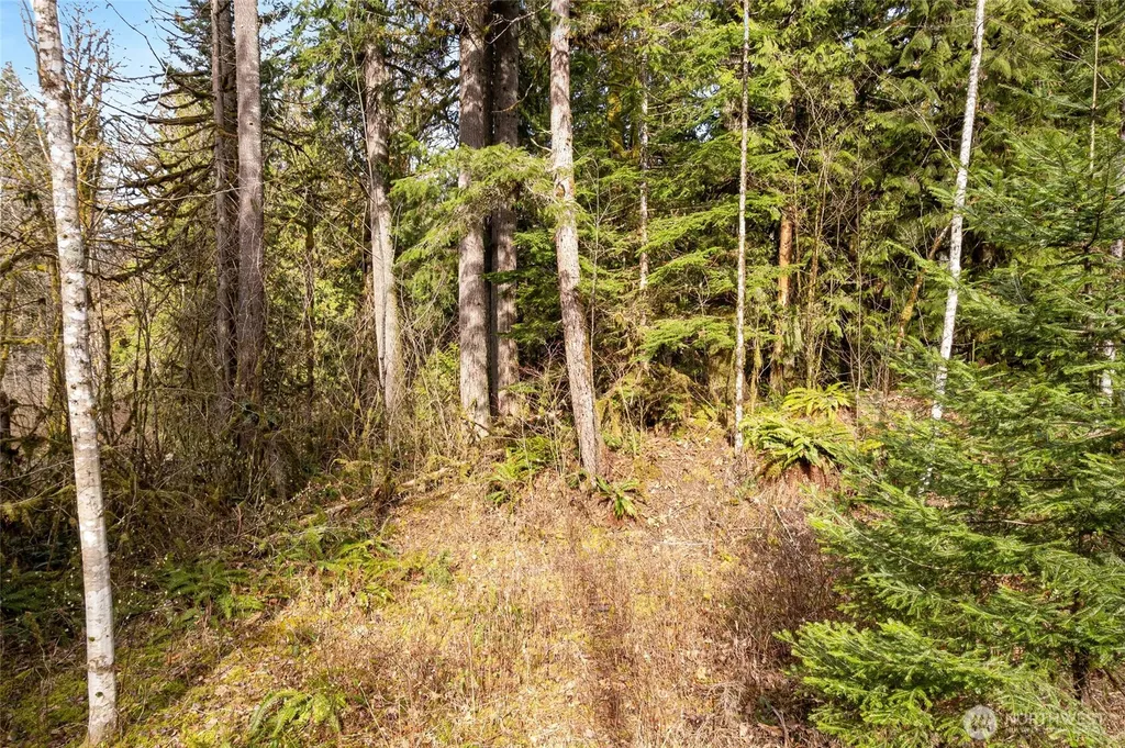 10211 Mt Baker Highway Deming WA 98244