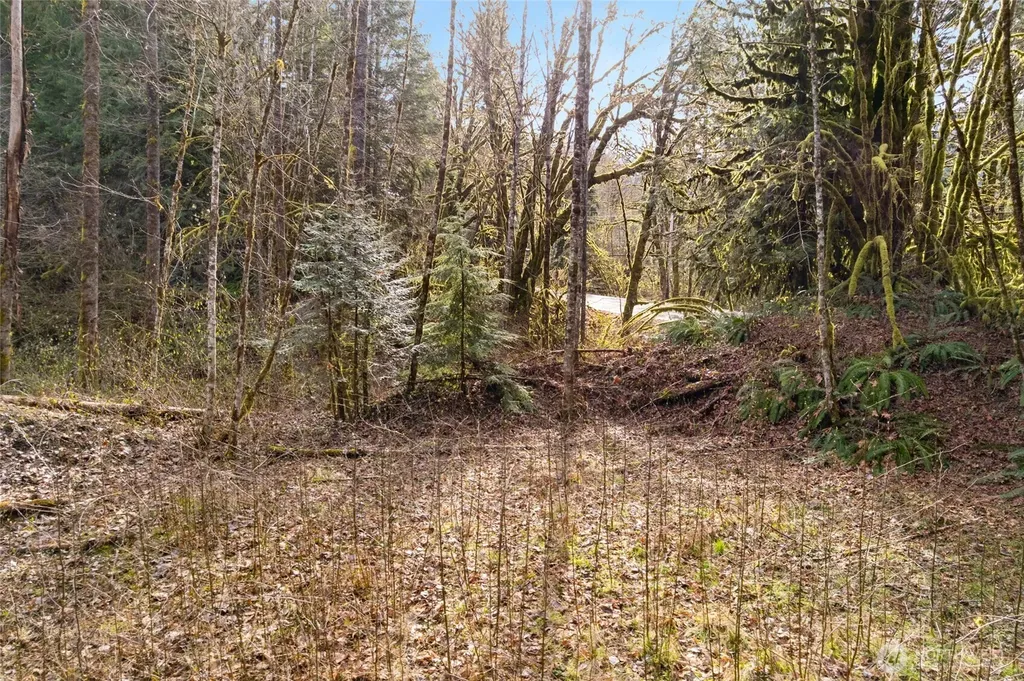 10211 Mt Baker Highway Deming WA 98244