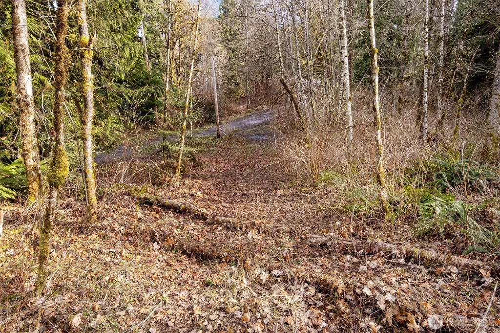 10211 Mt Baker Highway Deming WA 98244