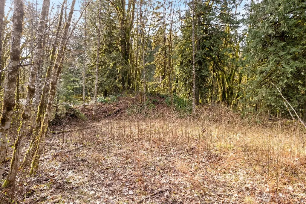 10211 Mt Baker Highway Deming WA 98244