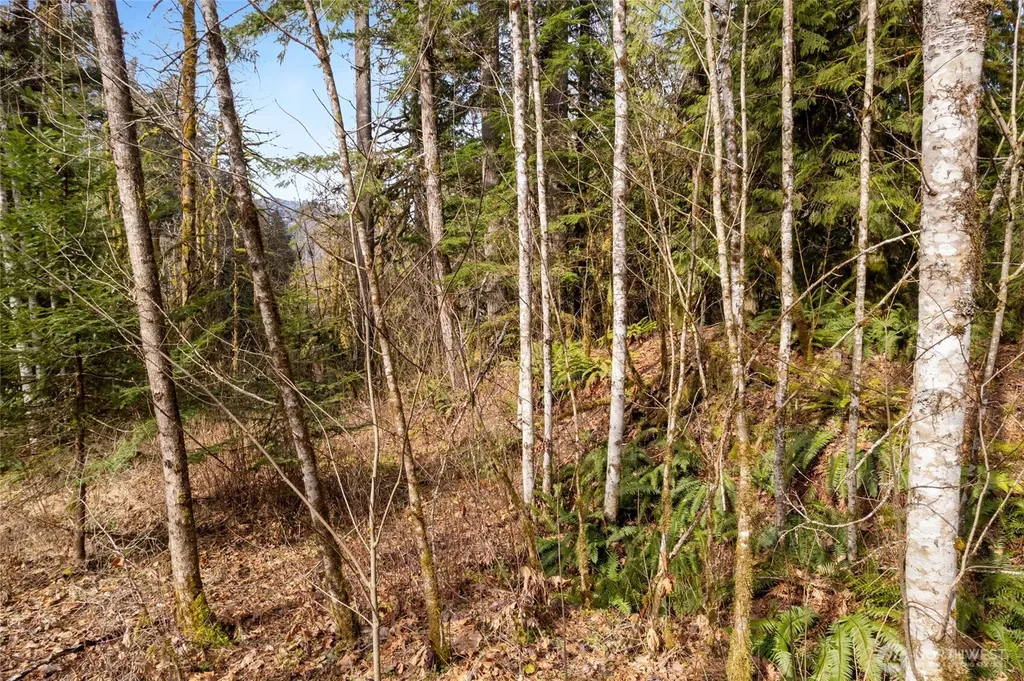 10211 Mt Baker Highway Deming WA 98244