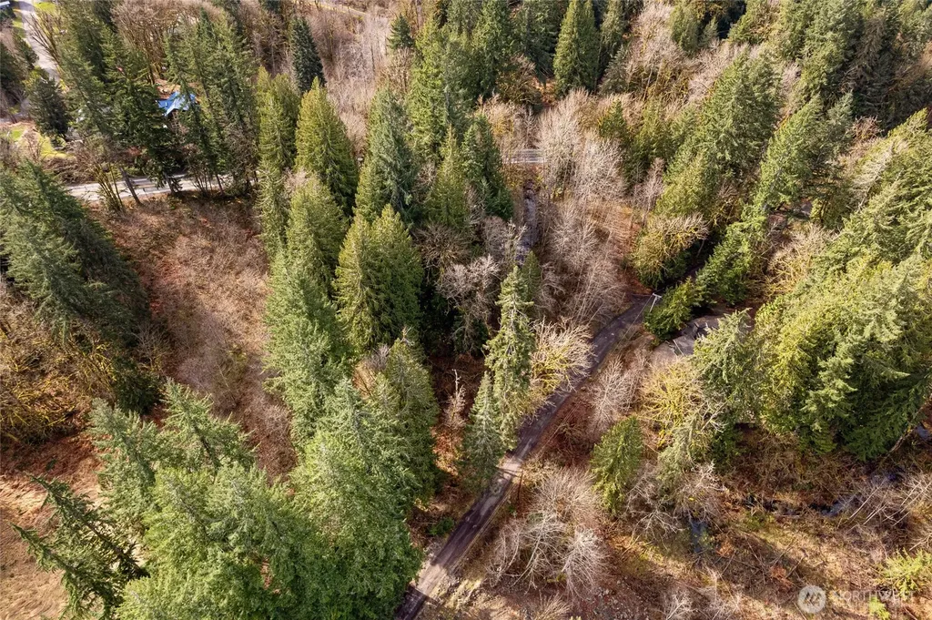 10211 Mt Baker Highway Deming WA 98244