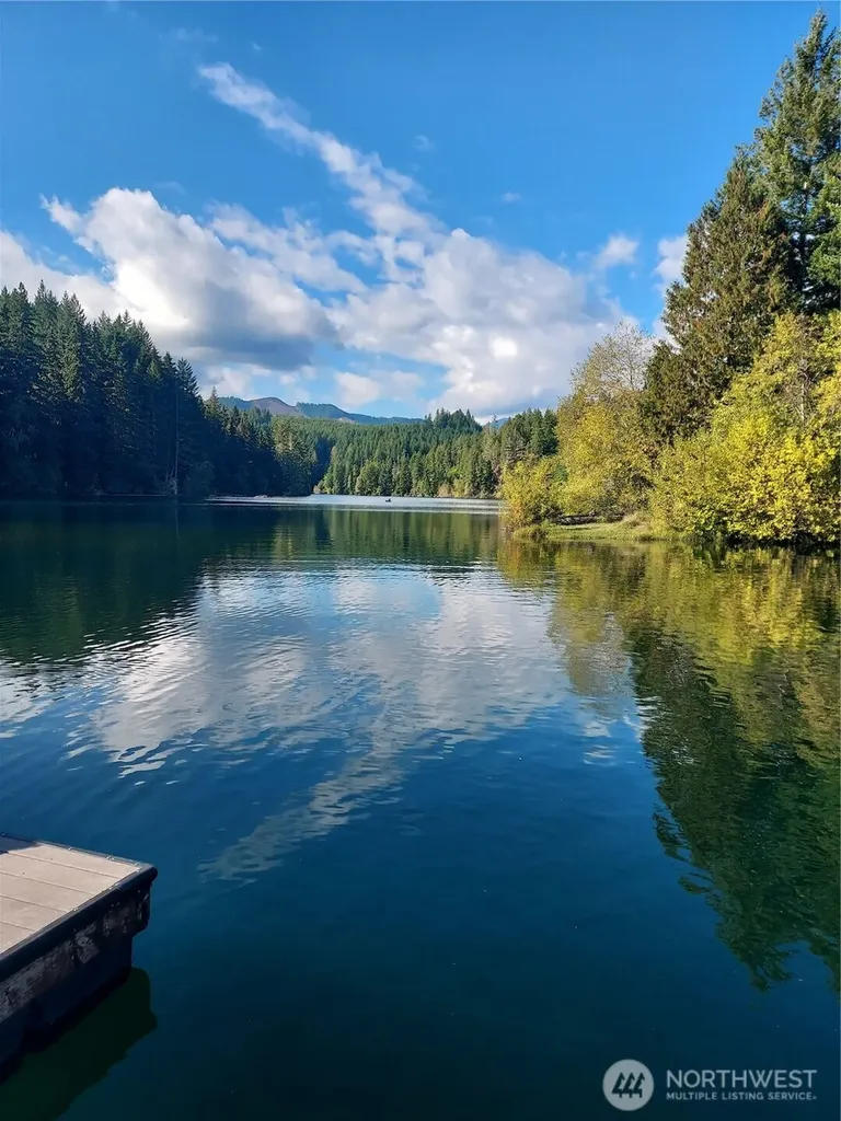 210 N Dow Creek Drive Hoodsport WA 98548