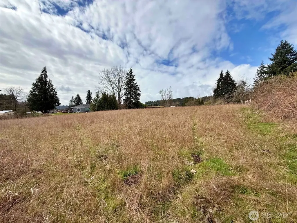 141 Filbert Road Silver Creek WA 98585