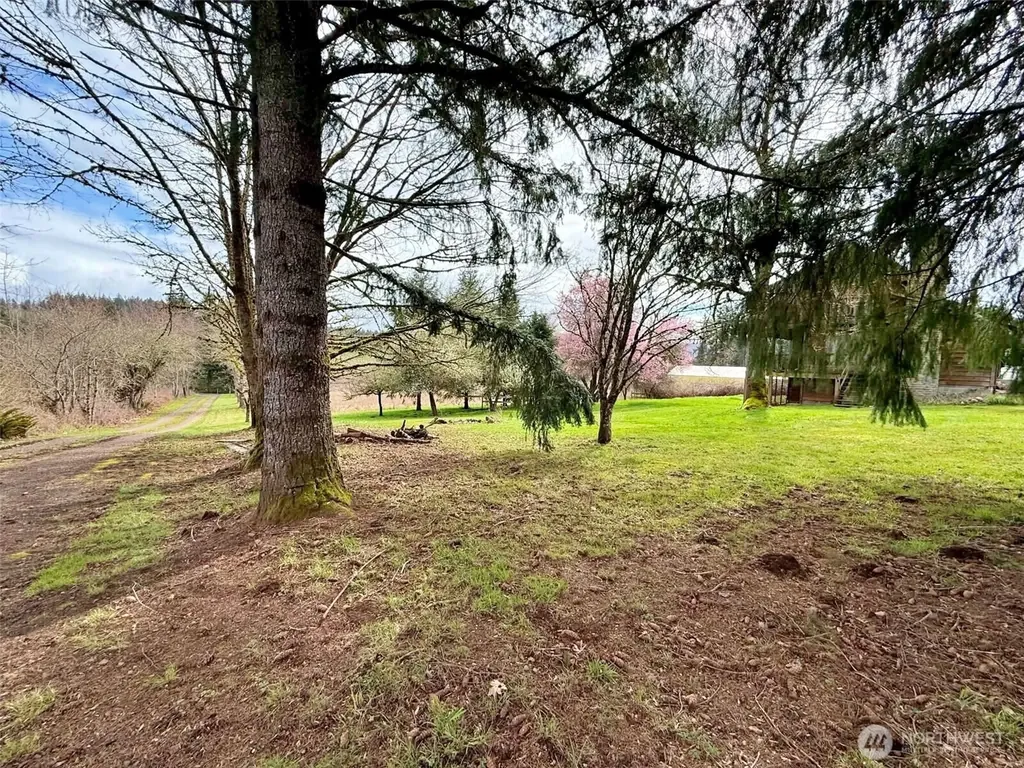 141 Filbert Road Silver Creek WA 98585