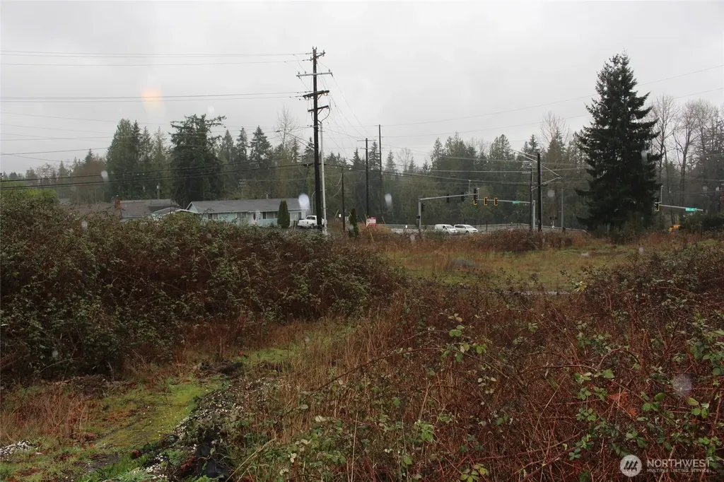 9119 20th Street SE Lake Stevens WA 98258