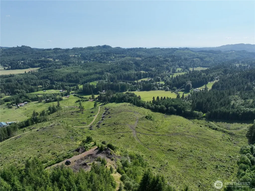 0 NE 206th Avenue Amboy WA 98601
