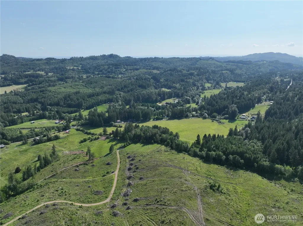 0 NE 206th Avenue Amboy WA 98601