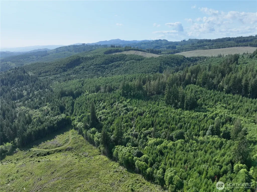 0 NE 206th Avenue Amboy WA 98601