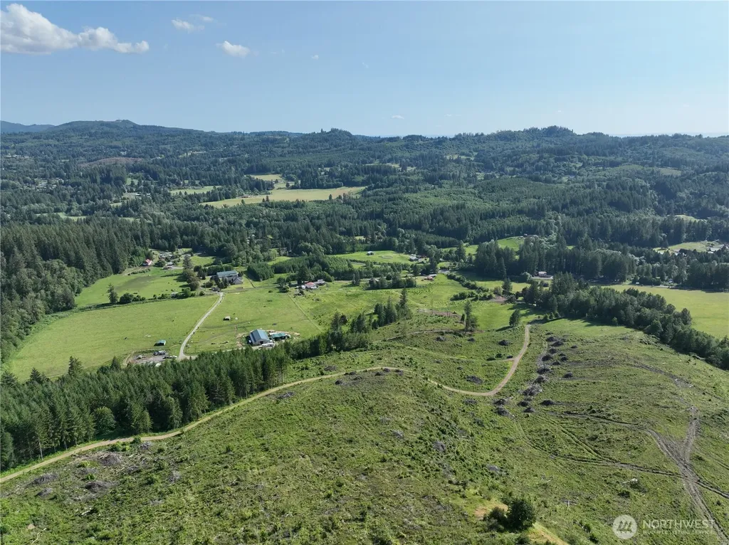 0 NE 206th Avenue Amboy WA 98601