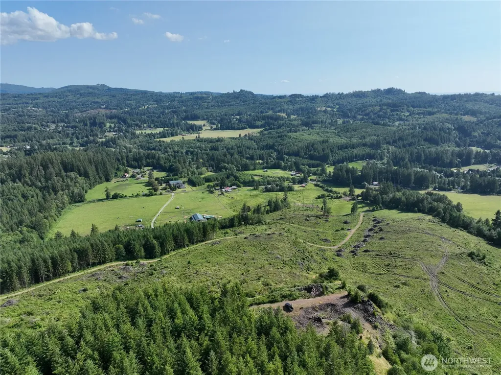 0 NE 206th Avenue Amboy WA 98601