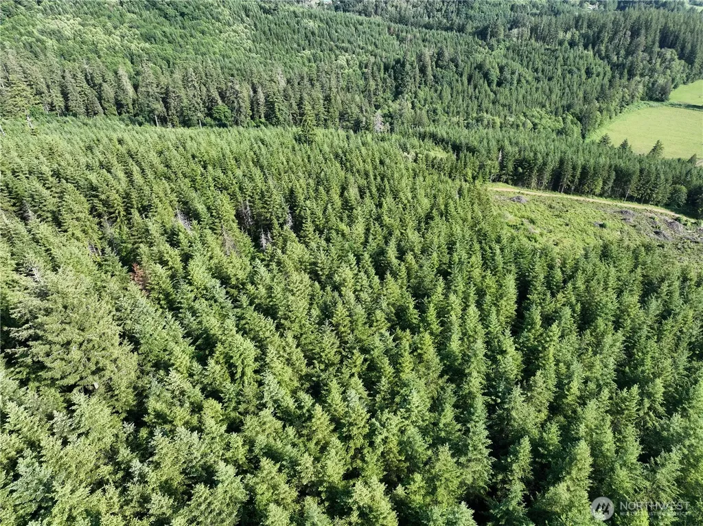 0 NE 206th Avenue Amboy WA 98601