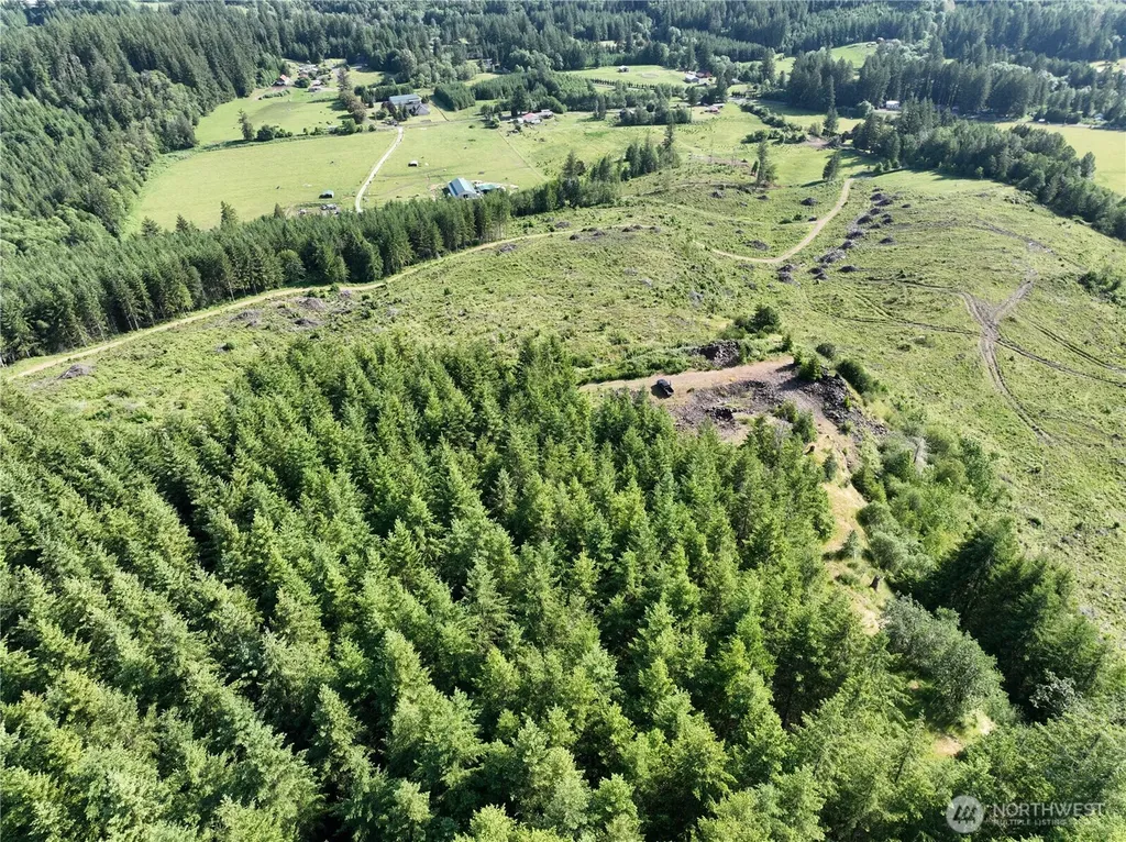 0 NE 206th Avenue Amboy WA 98601