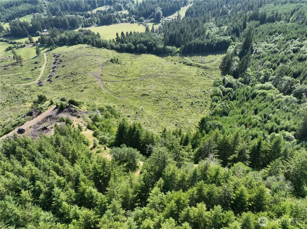 0 NE 206th Avenue Amboy WA 98601
