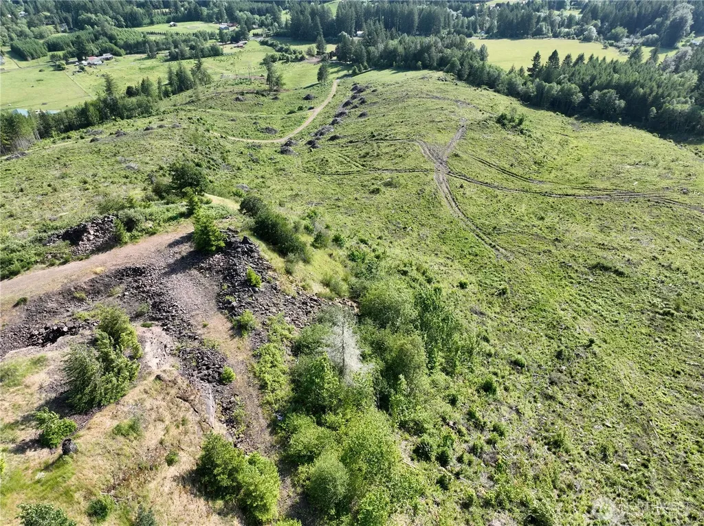 0 NE 206th Avenue Amboy WA 98601